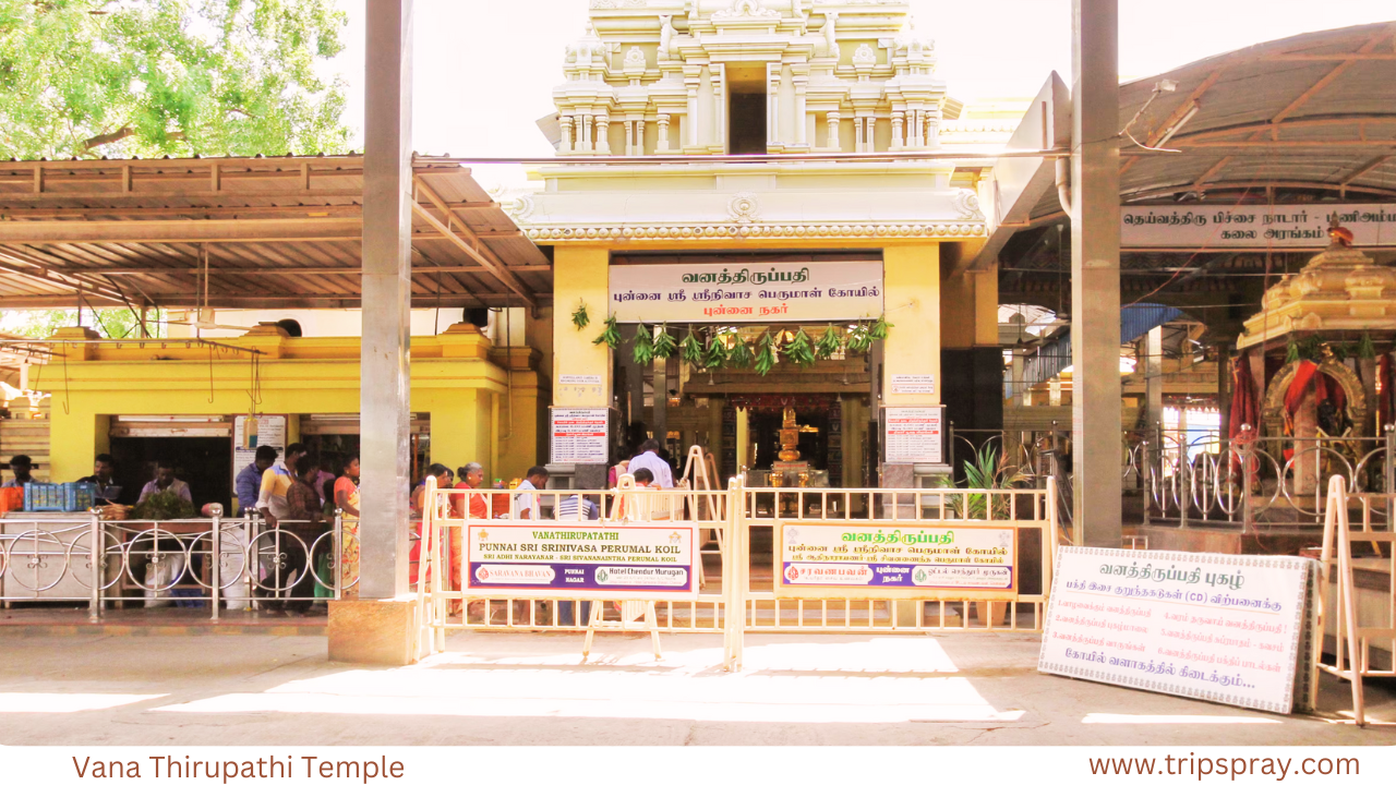 Vana Thirupathi Temple Punnaiyadi Tamil Nadu