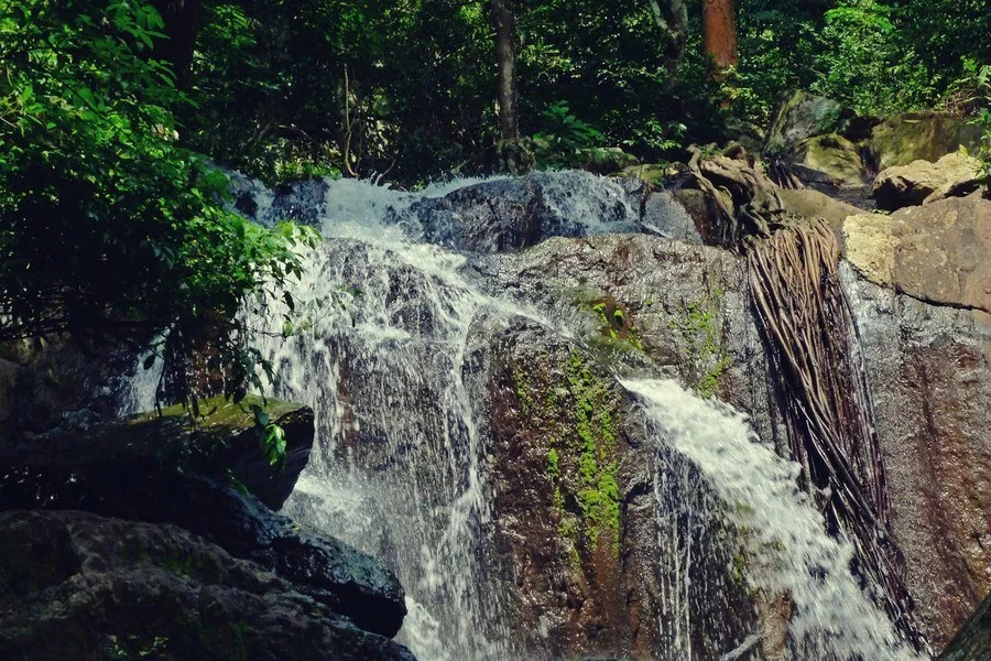 Waterfalls in Maredumilli