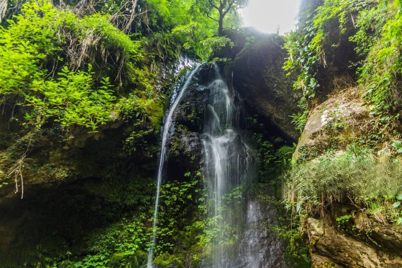 Serenity of Waterfalls